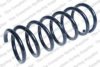 LESJ?FORS 4295868 Coil Spring